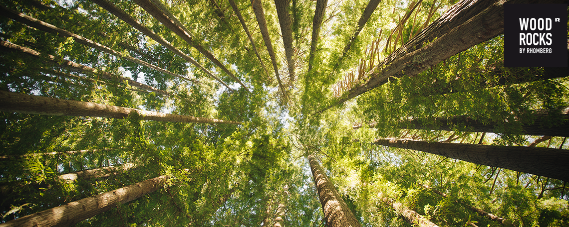 Projektentwickler:in mit Kundenfokus (m/w/d) – Bau & Holz, 1. Bild