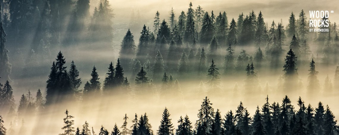 AI & Digital Operations Lead (m/w/d), 1. Bild